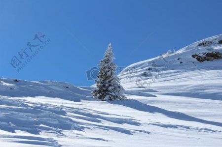 蓝天映照下的雪景