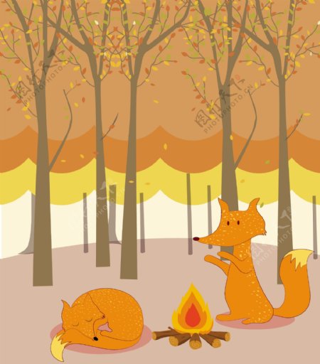 森林里可爱黄色狐狸背景图