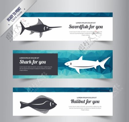 海洋鱼类banner矢量素材