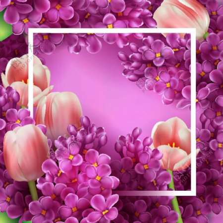 紫色花朵边框设计矢量素材