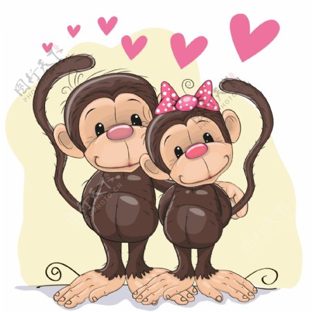 可爱的情侣猴子