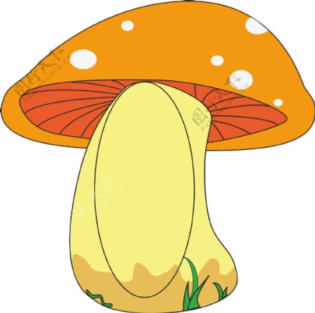 蘑菇相框