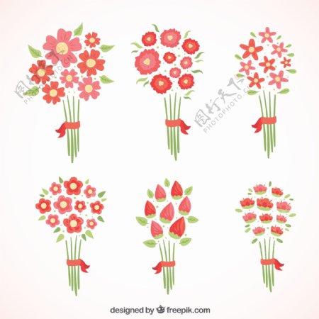 不同的红色花朵在简约风格