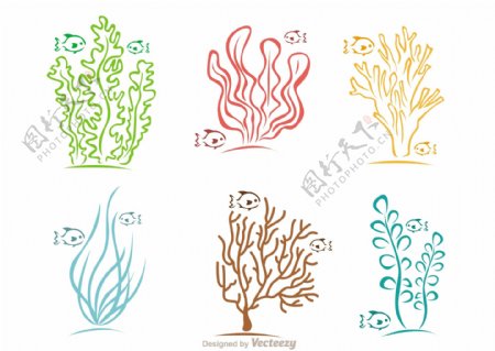 手绘轮廓珊瑚植物素材