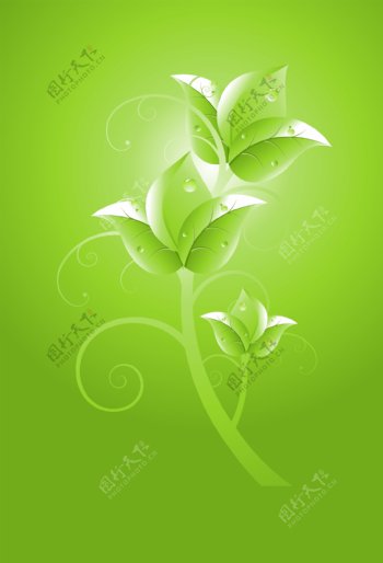 绿色植物素材