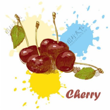 cherry樱桃涂鸦插画