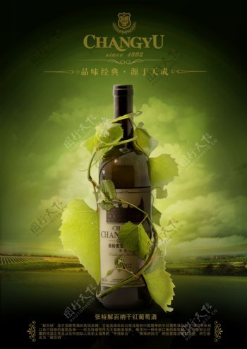 张裕红酒海报设计PSD素材