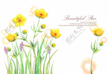 手绘唯美花卉植物插画PSD分层素材