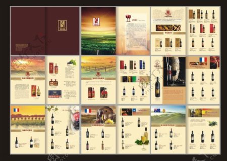 红酒宣传册设计矢量素材