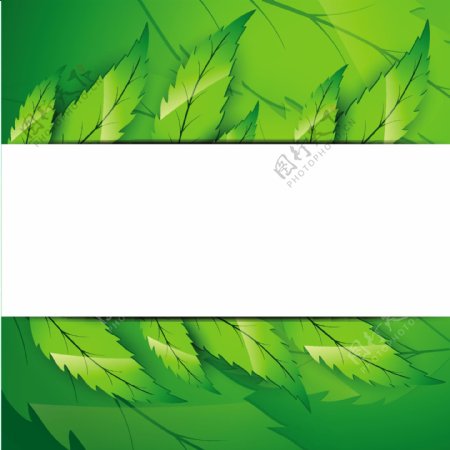 自然的绿色旗帜