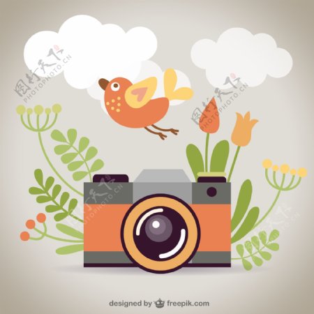 卡通相机和花鸟矢量素材