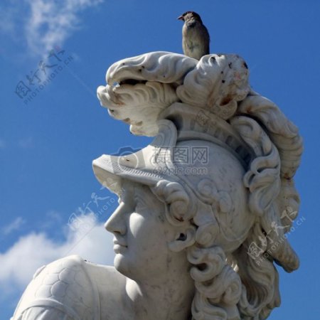 雕像上的鸟