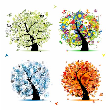树木的四季变化