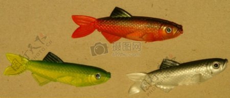 三只不同颜色的鱼