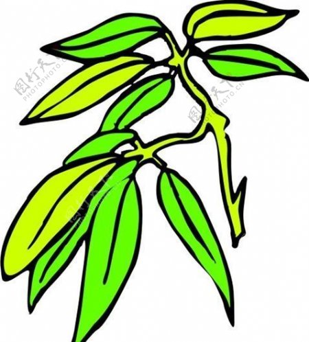 树叶植物图案矢量AI0054