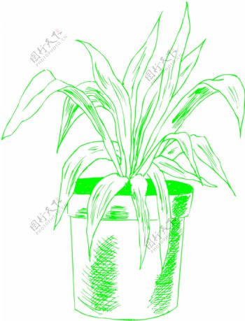 盆栽植物图案矢量EPS0150