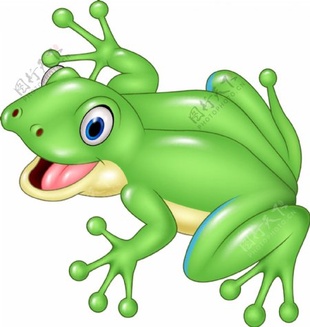 青蛙设计图