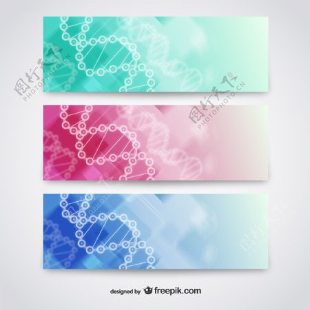 彩色DNA分子banner素材
