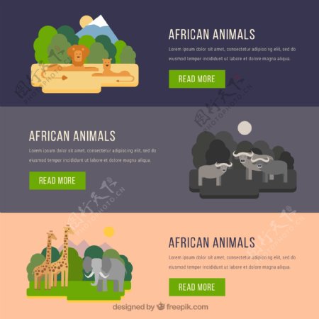 3款创意非洲动物banner矢量素材