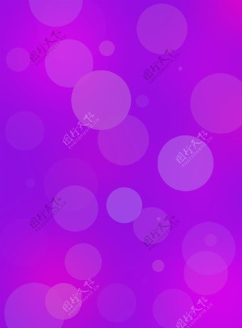 紫色迷情