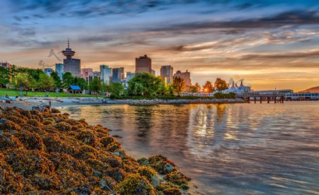 加拿大温哥华码头风景