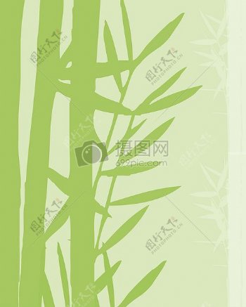 绿竹抽象背景图案