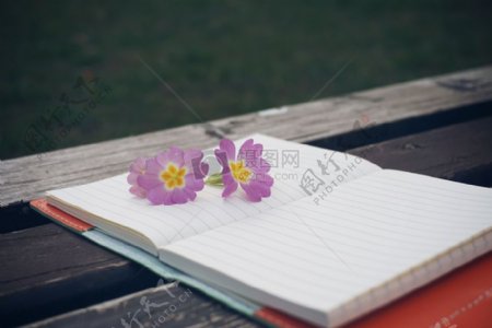 笔记本上的小花