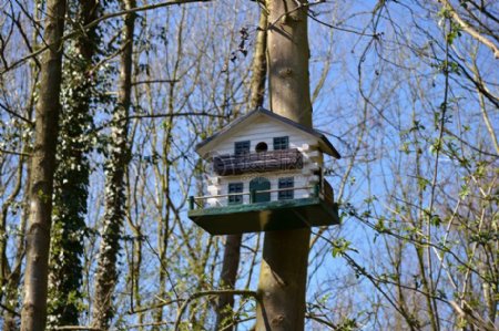 树上的小鸟屋
