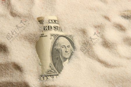 沙子里的美元图片