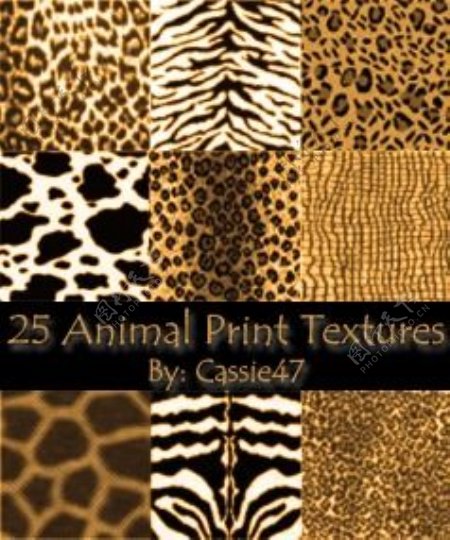 25种豹纹斑点纹理动物皮毛photoshop笔刷素材下载