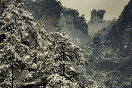 湖南张家界黄狮寨雪景