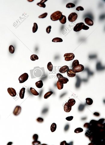 空中咖啡豆