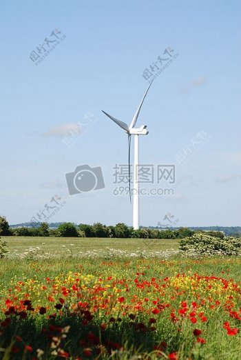荷兰的大风车