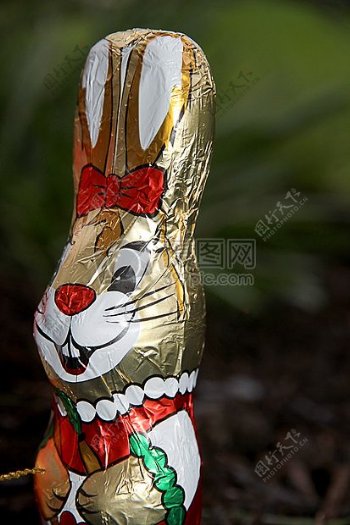 彩色兔子包装糖果