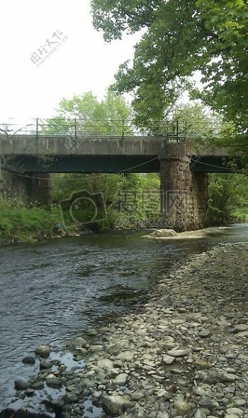 桥河河边