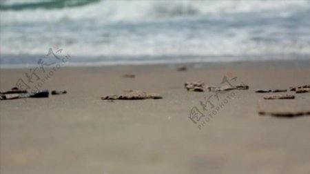 海滩文字视频拍摄