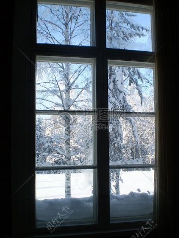 窗外的雪后景色