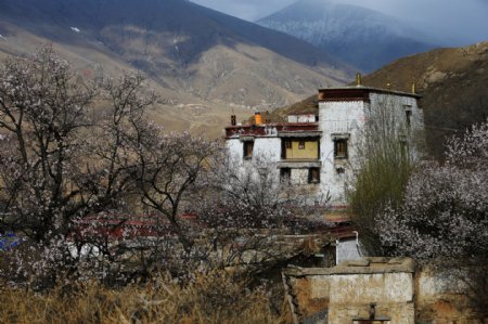 西藏帕崩岗风景