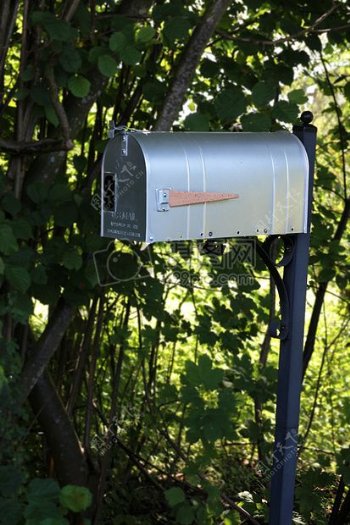 树上悬挂的铁皮邮箱