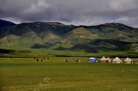 新疆巴音布鲁克草原风景