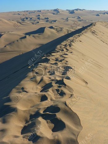 沙滩阳光沙漠干燥炎热沙丘皇室成员自由沙丘垄