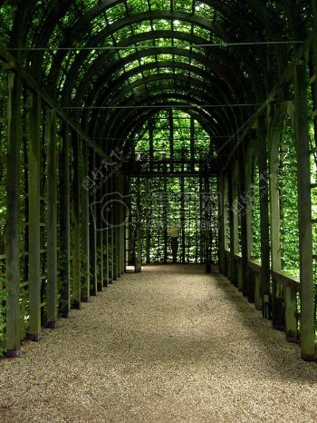 绿荫下的拱形长廊