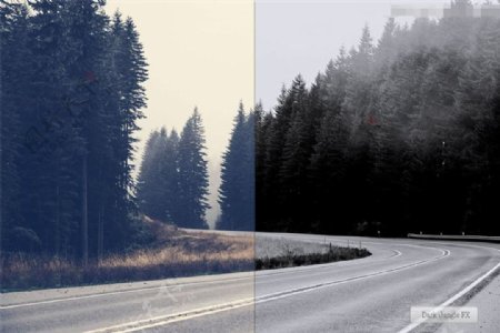 森林照片转黑白效果PS动作