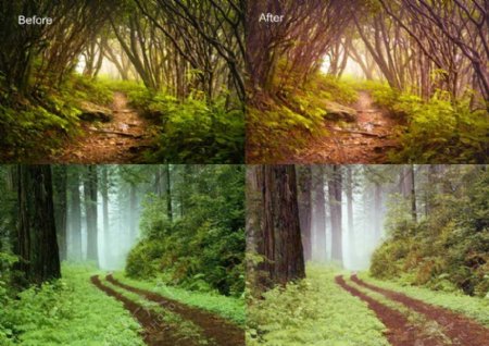 森林照片柔化处理调色动作