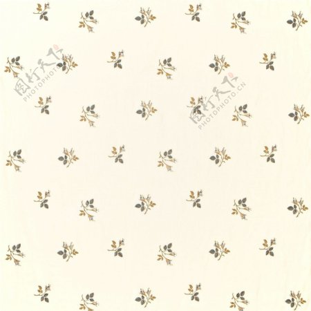 米色花朵图案壁纸