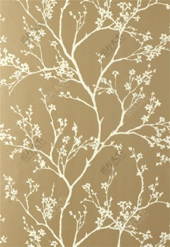 金色树枝花纹壁纸图片