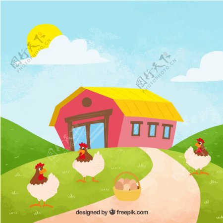 鸡蛋和母鸡绿色农场背景