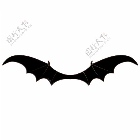 蝙蝠翼图片