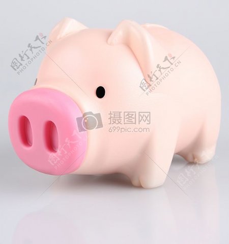 可爱的小猪存钱罐