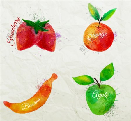 水彩水果设计矢量图